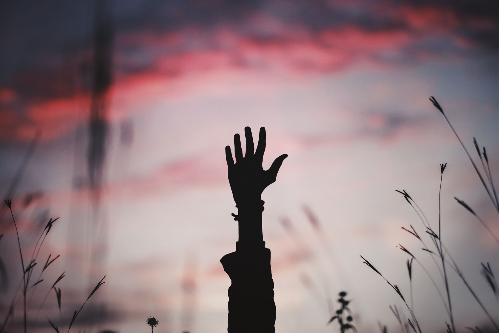 Hand in the air while the sun rises